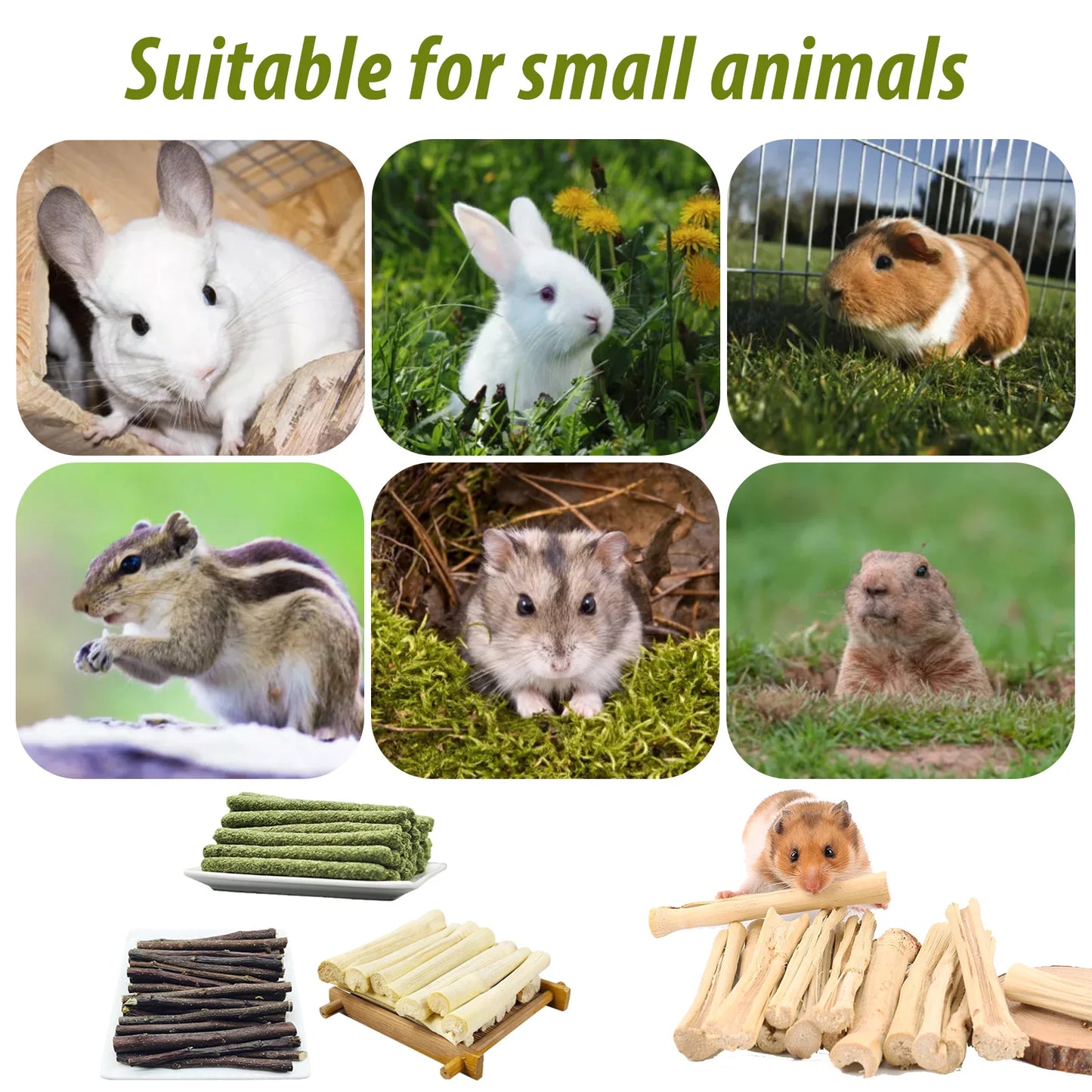 Dry Apple Branch Pet Molar Stick