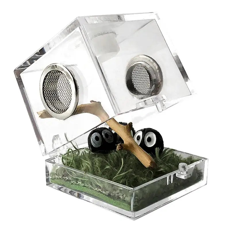 Breeding Box: Clear Acrylic Reptile Terrarium