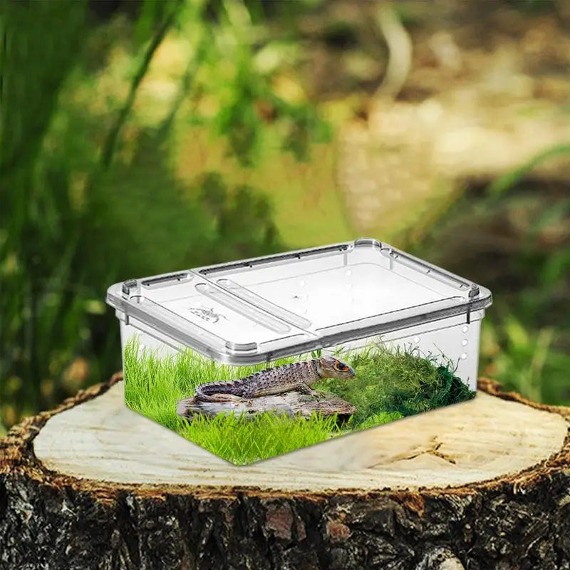 Modern Light & Transparent Reptile Breeding Box