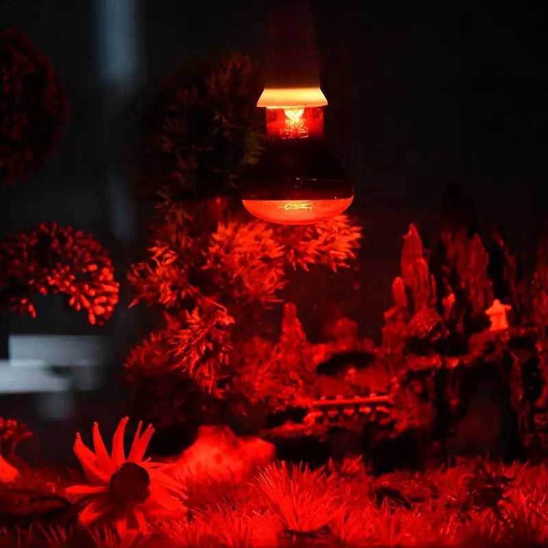 Red Heating Lamp E27 for Amphibians