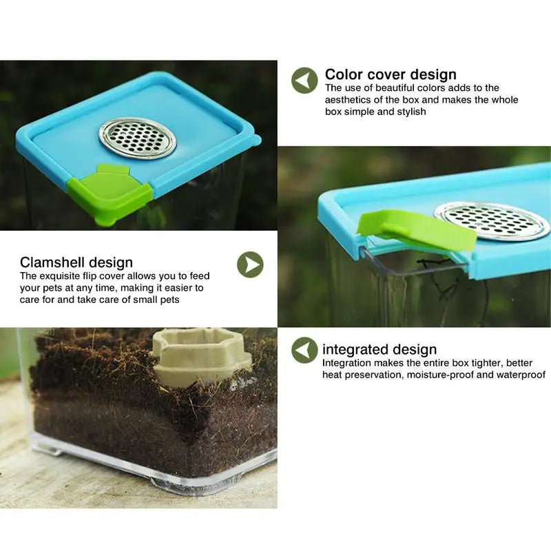 Acrylic Terrarium with Stainless Steel Ventilation