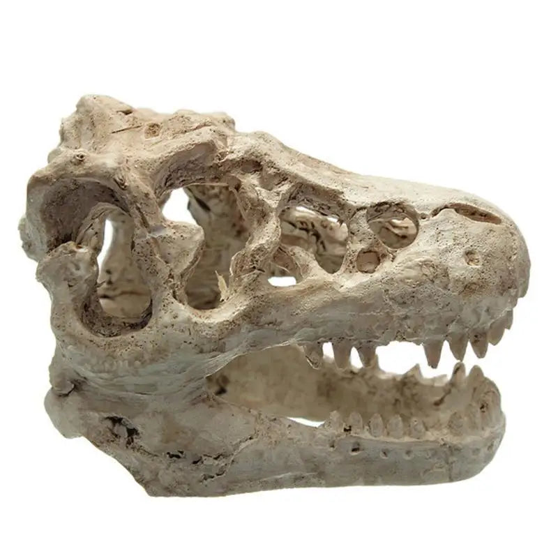 Resin T-Rex Skull Decoration