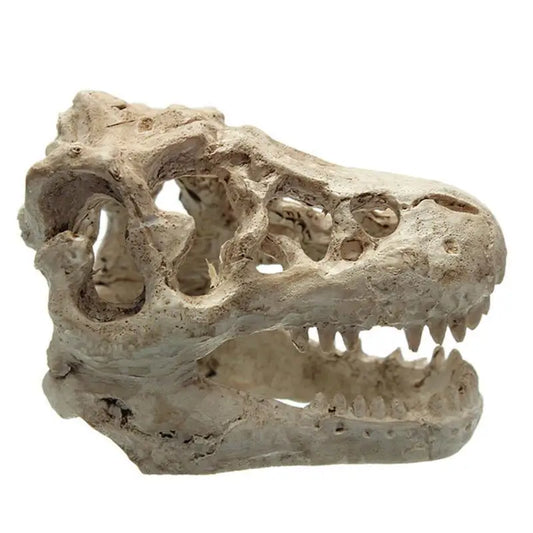 Resin T-Rex Skull Decoration