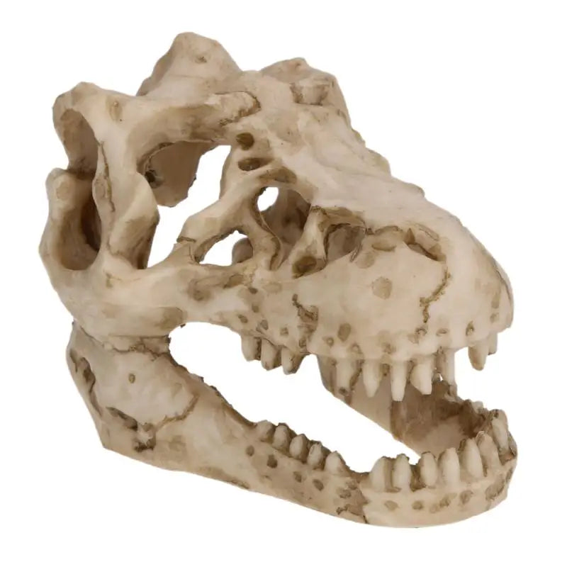 Resin T-Rex Skull Decoration