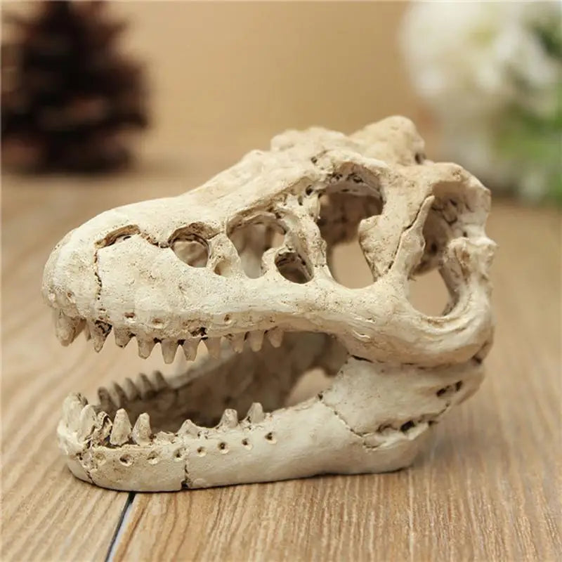Resin T-Rex Skull Decoration