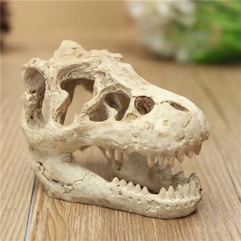 Resin T-Rex Skull Decoration