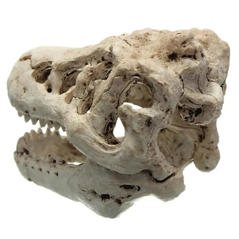 Resin T-Rex Skull Decoration