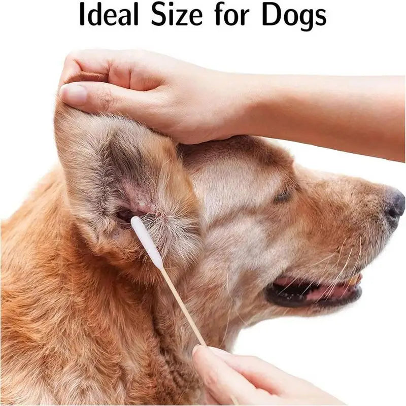 Pet Care: Long Ear Dog Cleaner