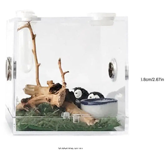 Breeding Box: Clear Acrylic Reptile Terrarium