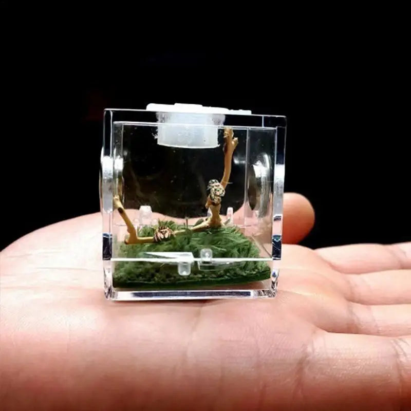 Breeding Box: Clear Acrylic Reptile Terrarium