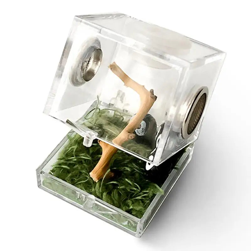 Breeding Box: Clear Acrylic Reptile Terrarium