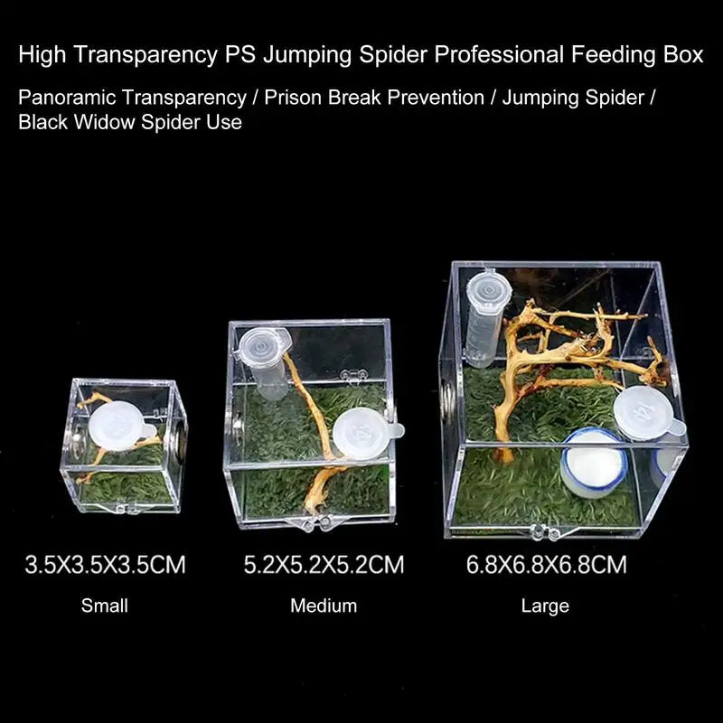 Breeding Box: Clear Acrylic Reptile Terrarium