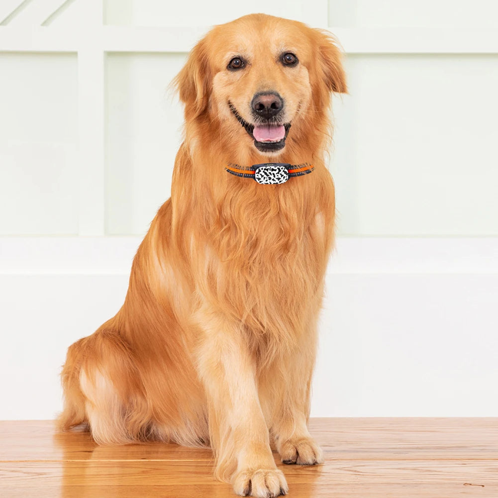 Smart 4G Pet Tracker with Remote Control