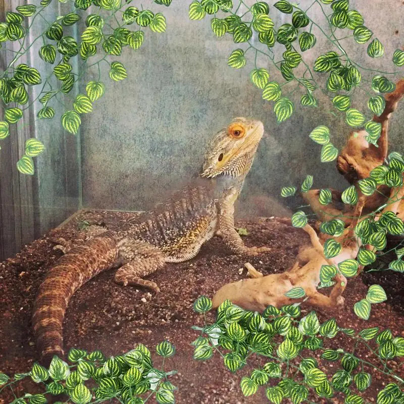 Artificial Vine Reptile Lizards Terrarium Decoration