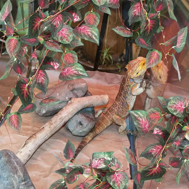 Artificial Vine Reptile Lizards Terrarium Decoration