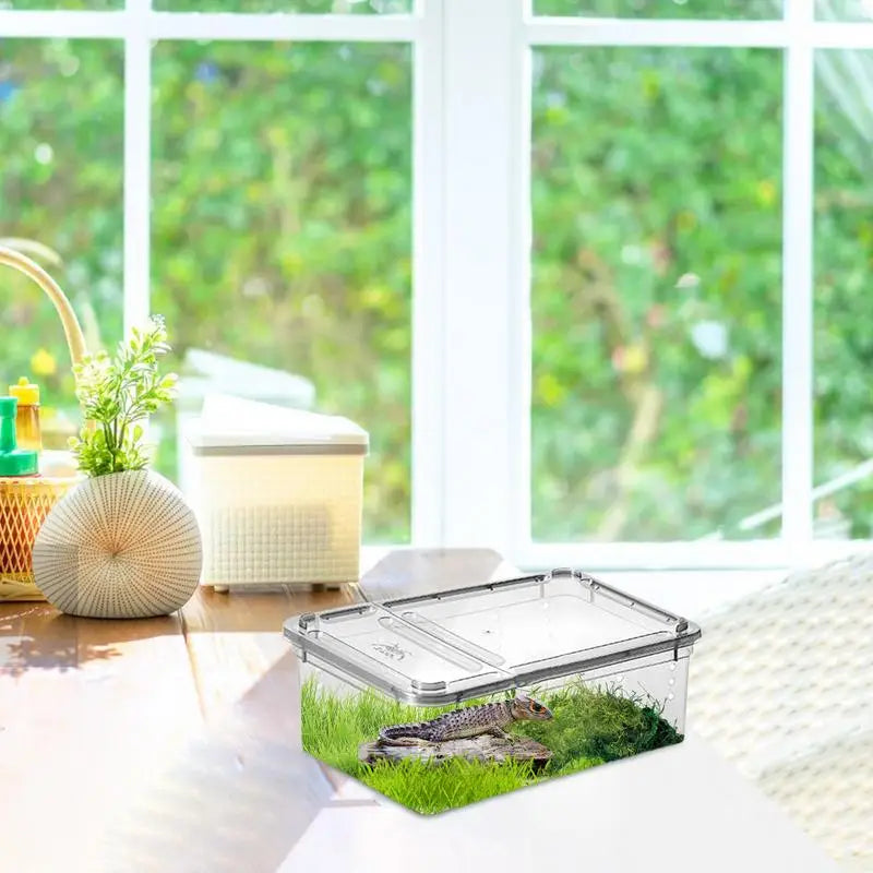 Modern Light & Transparent Reptile Breeding Box