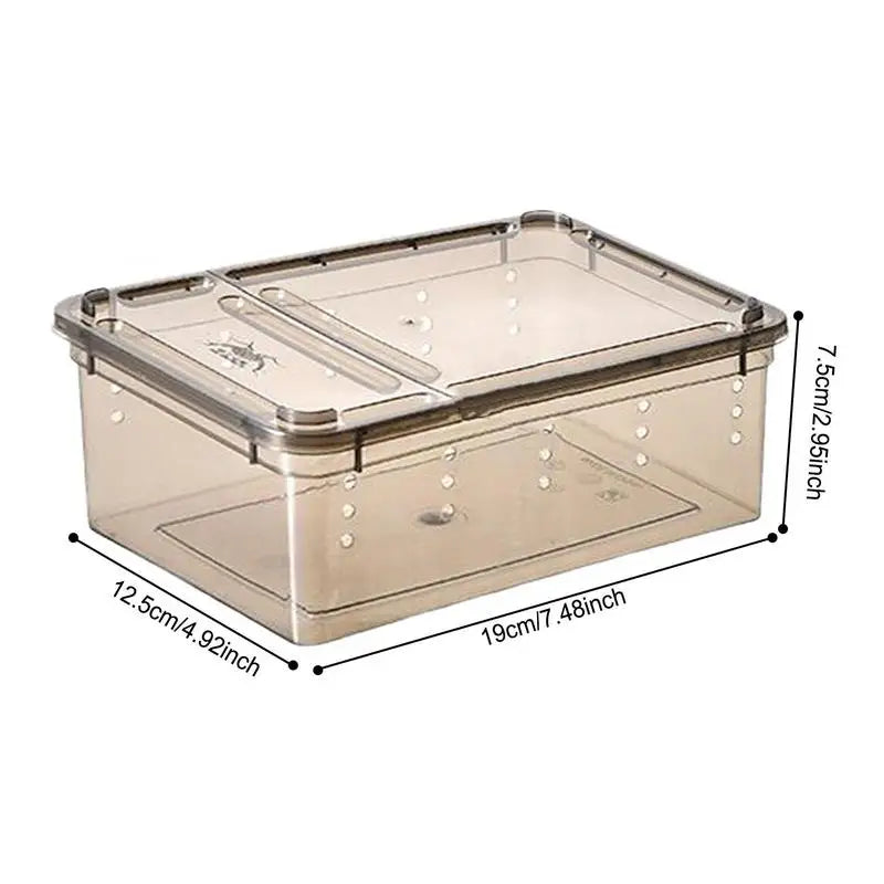 Modern Light & Transparent Reptile Breeding Box