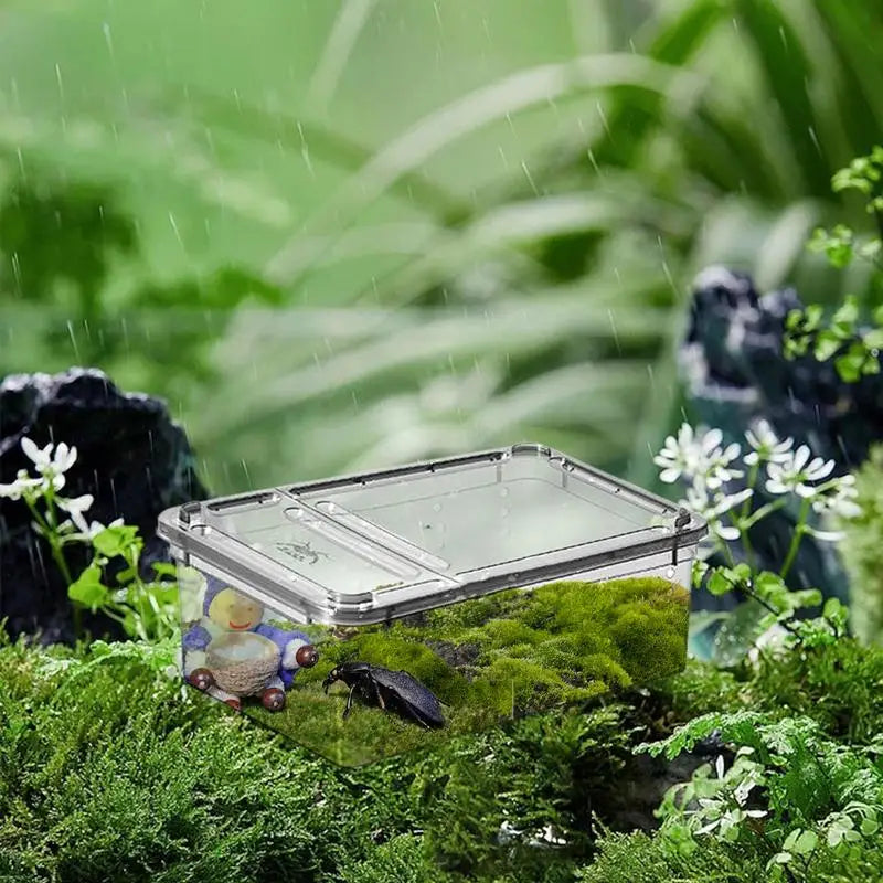 Modern Light & Transparent Reptile Breeding Box