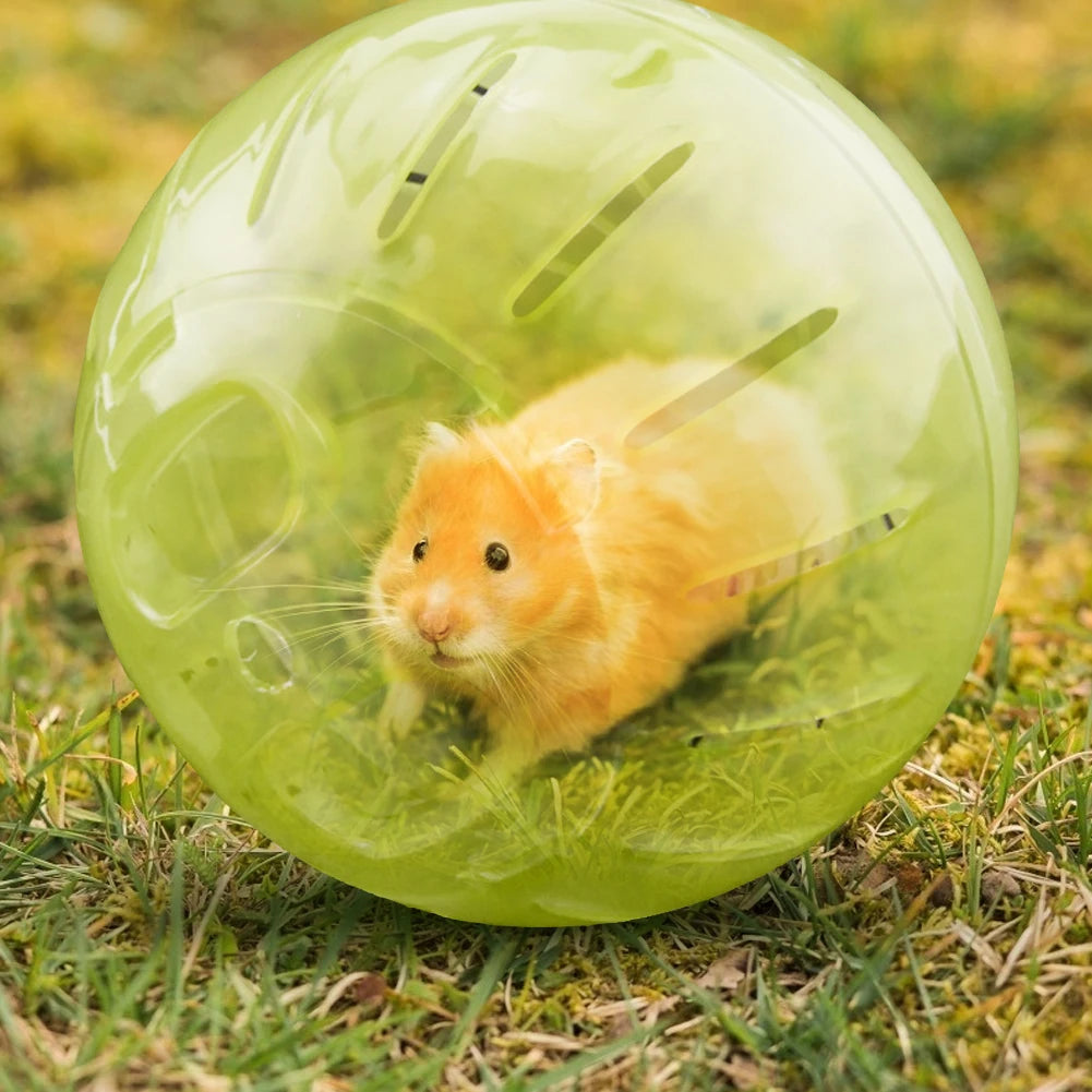 Pet Rodent Mini Jogging Ball Exercise Toy
