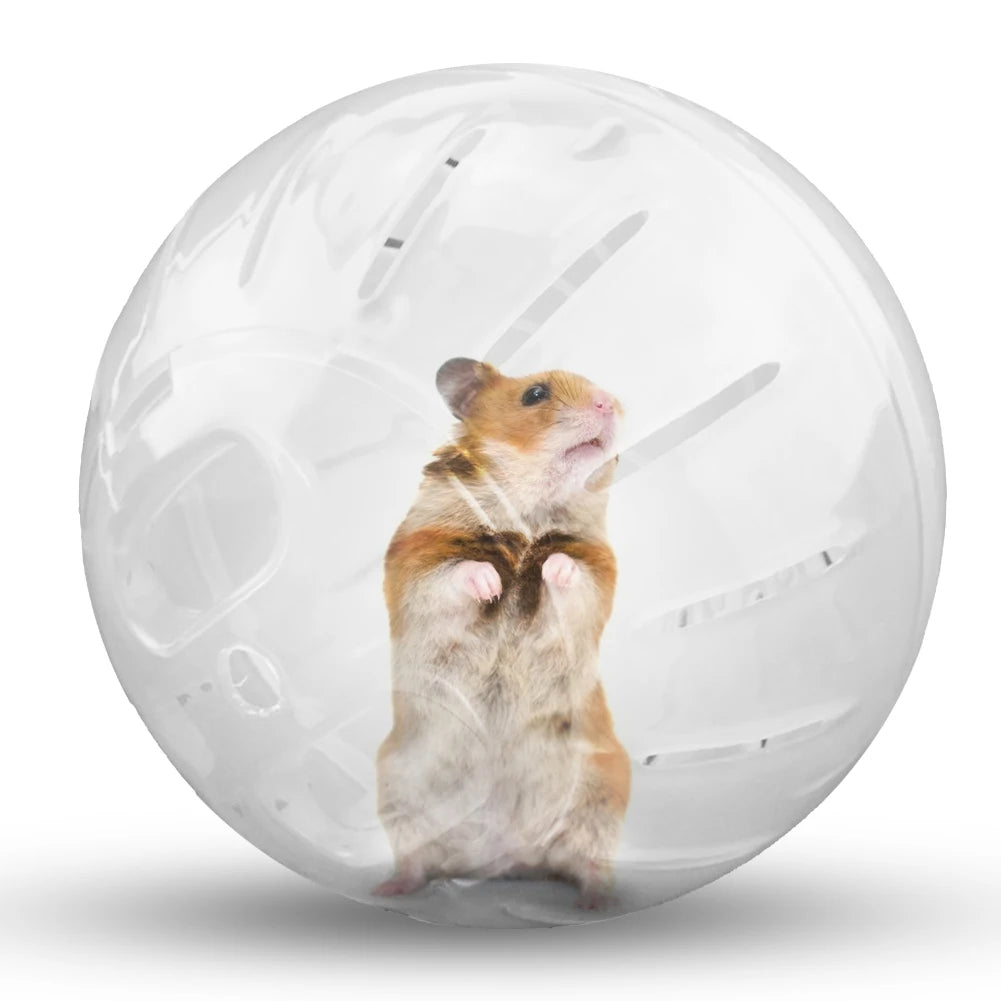 Pet Rodent Mini Jogging Ball Exercise Toy