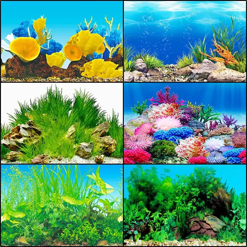 Double-Sided Aquarium Landscape Sticker: Ocean Sea