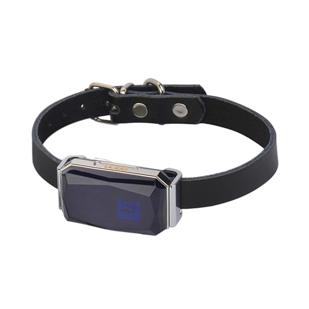 Smart Collar Pet Tracker with IP67 Waterproof