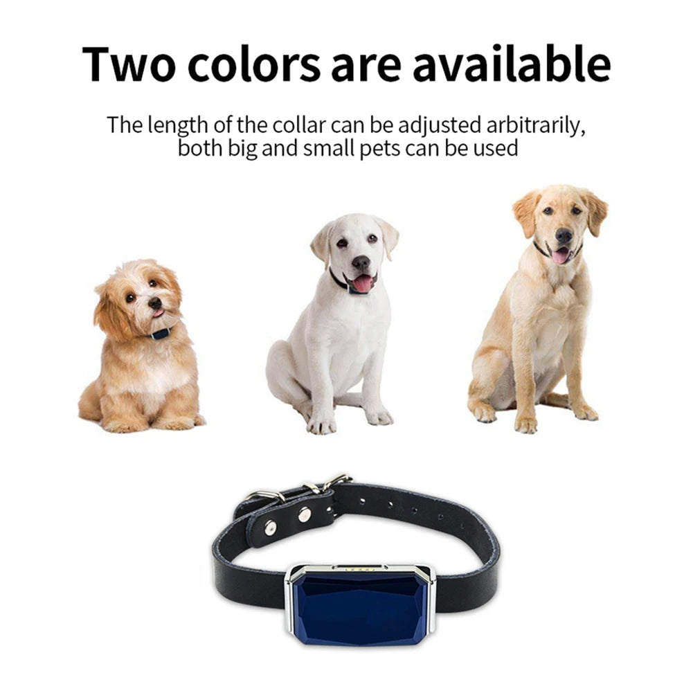 Smart Collar Pet Tracker with IP67 Waterproof
