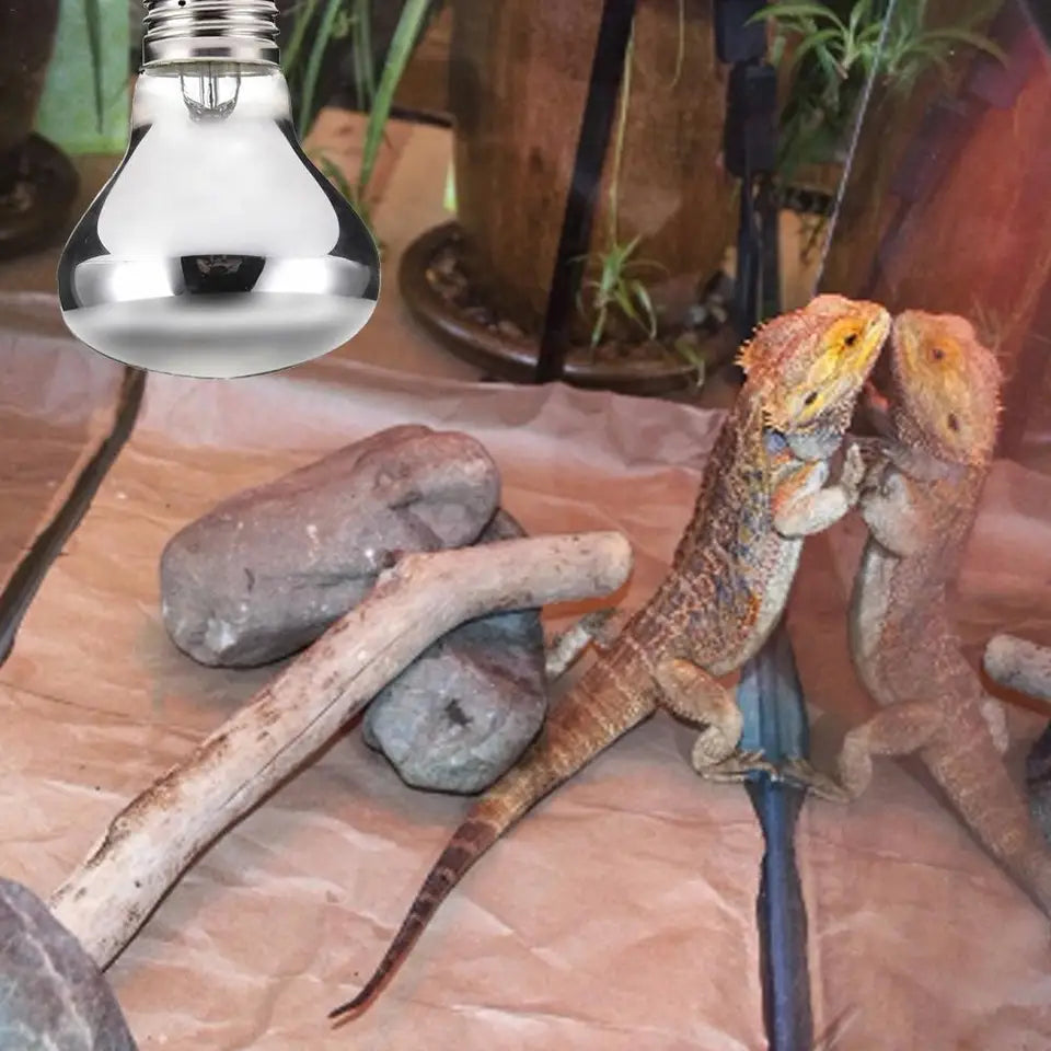 Pet Heating Lamp: 50W/100W Reptile Heat Emitter