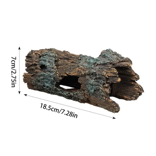 Lizard Caves and Hideouts: Climbing Cave