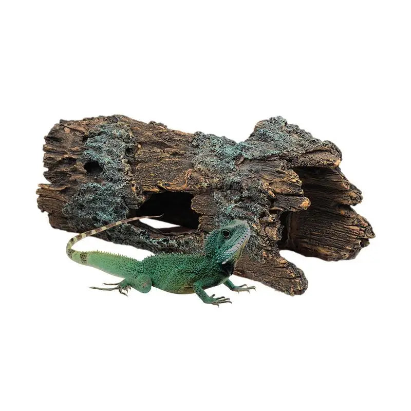 Lizard Caves and Hideouts: Climbing Cave