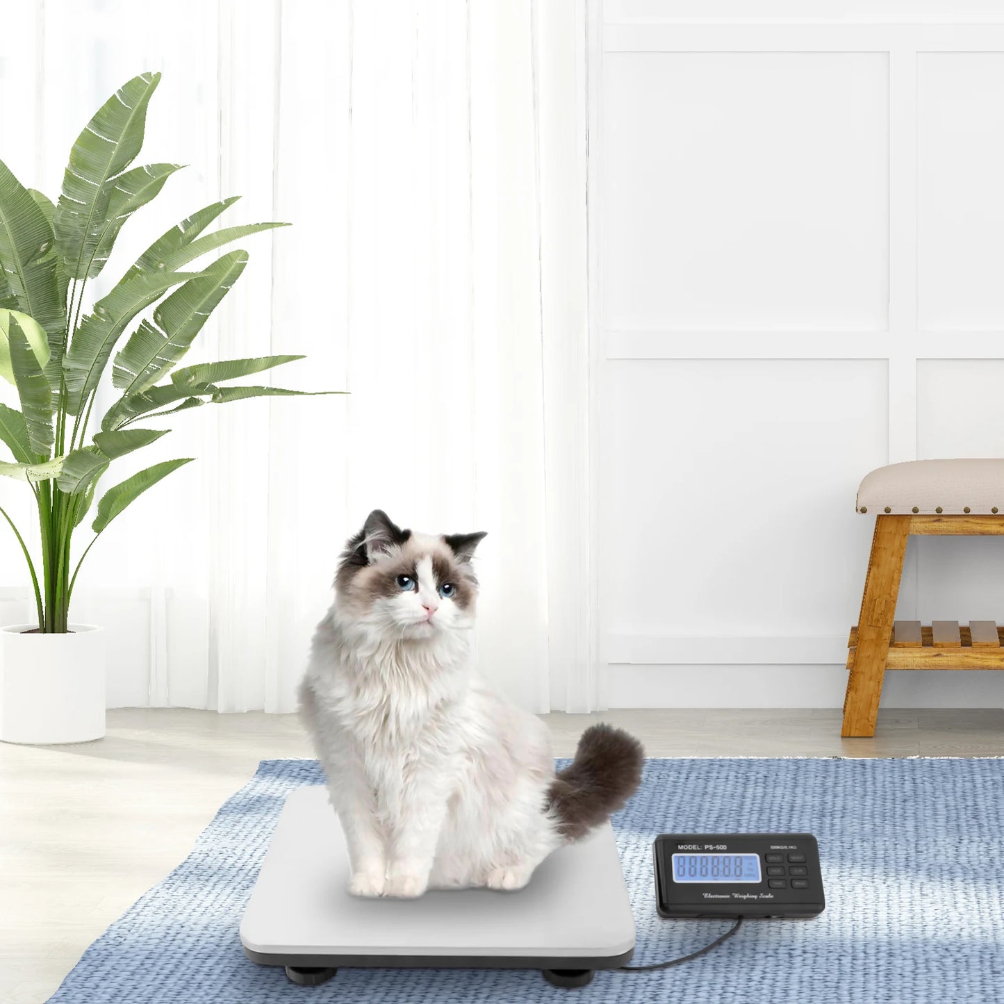 Versatile Pet Weighing: Wide Voltage with Australian Standard