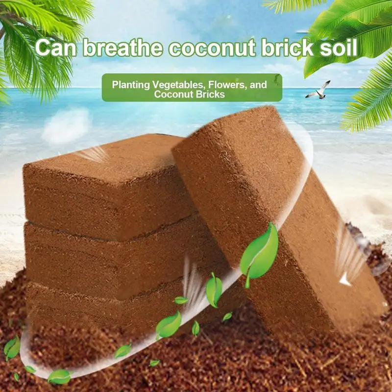 Compressed Coconut Coir Bricks for Planting