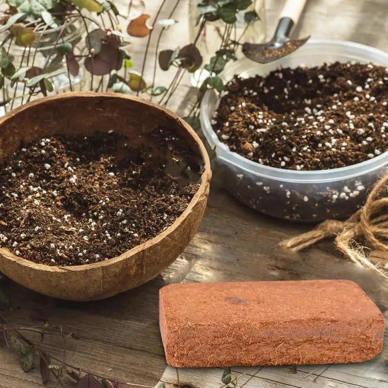 Compressed Coconut Coir Bricks for Planting