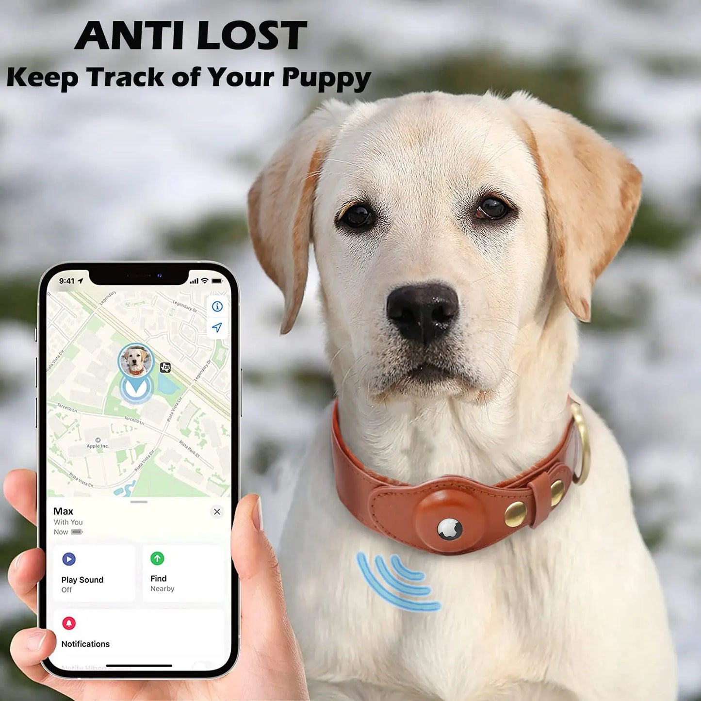 Removable Locating Pet Collar with AirTag
