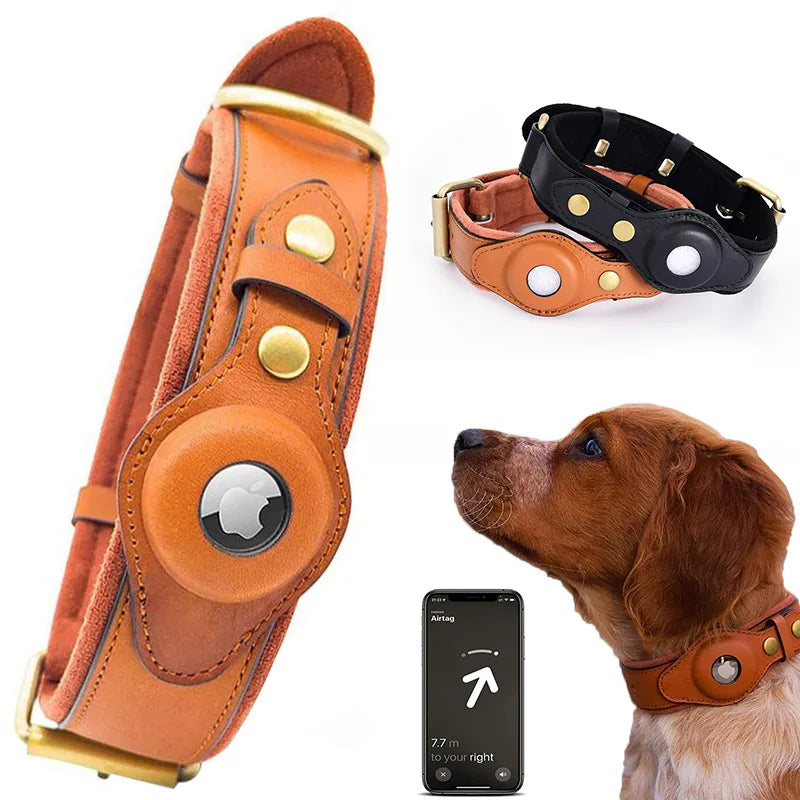 Removable Locating Pet Collar with AirTag