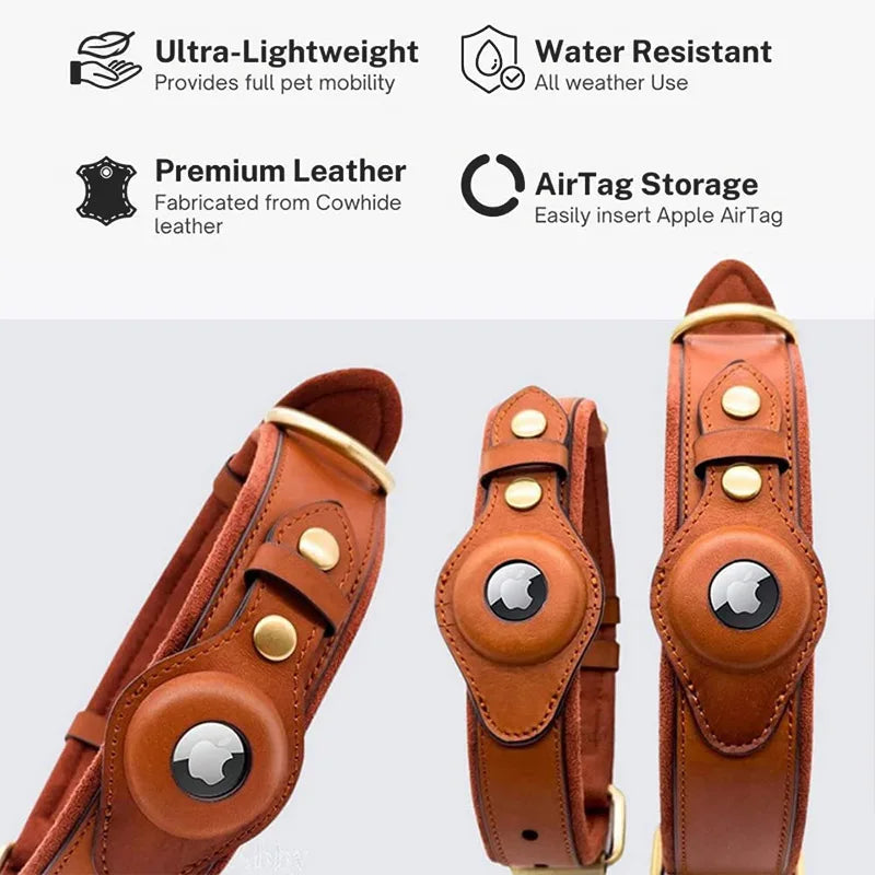 Removable Locating Pet Collar with AirTag