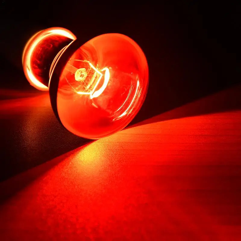 Red Heating Lamp E27 for Amphibians