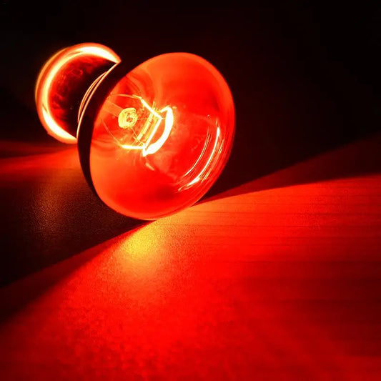 Red Heating Lamp E27 for Amphibians