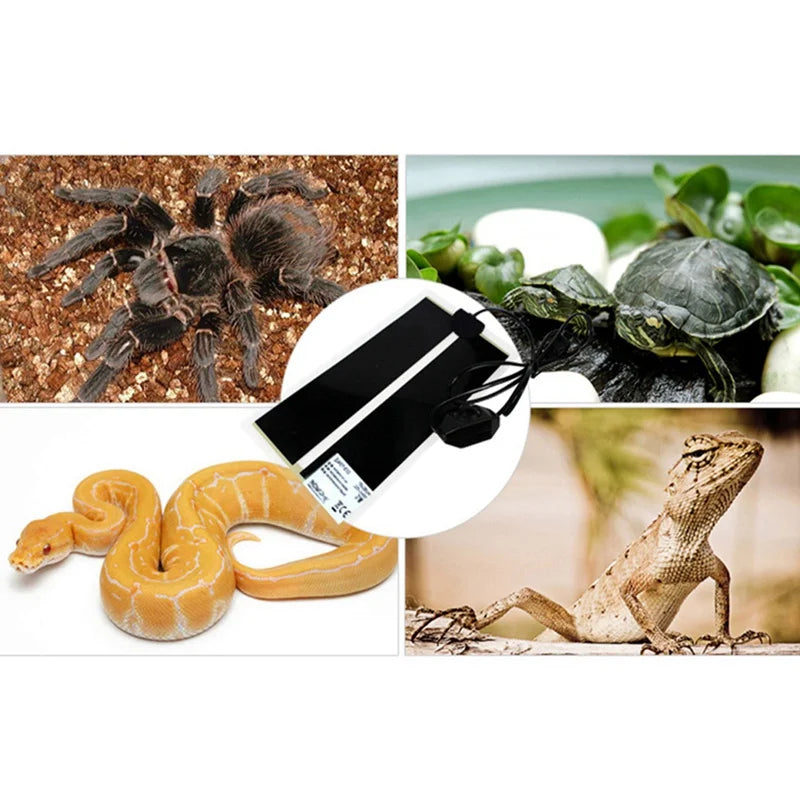 Adjustable Temperature Pet Heating Pad Terrarium