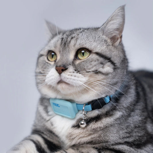 Intelligent Portable Pet Locator Collar for Cats