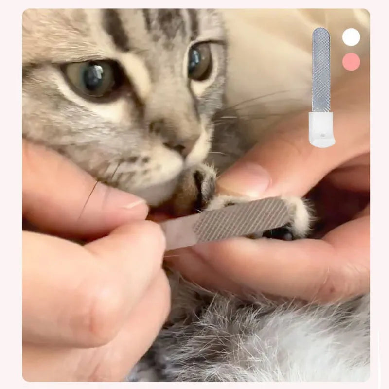 LED Lighting Professional Pet Nail Clipper