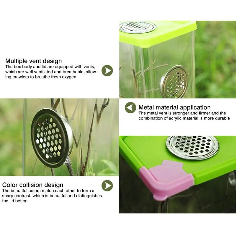 Acrylic Terrarium with Stainless Steel Ventilation