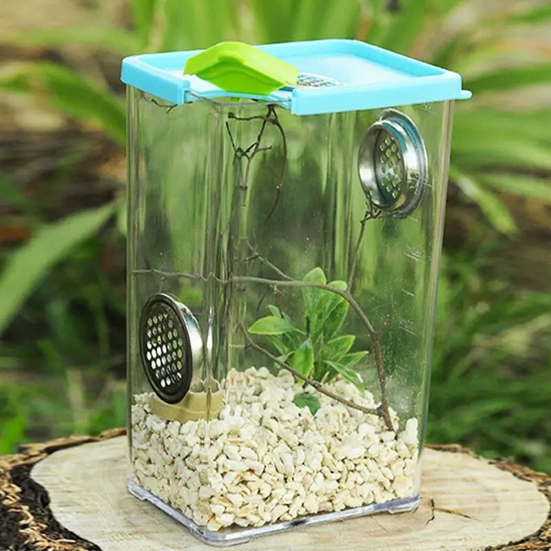Acrylic Terrarium with Stainless Steel Ventilation