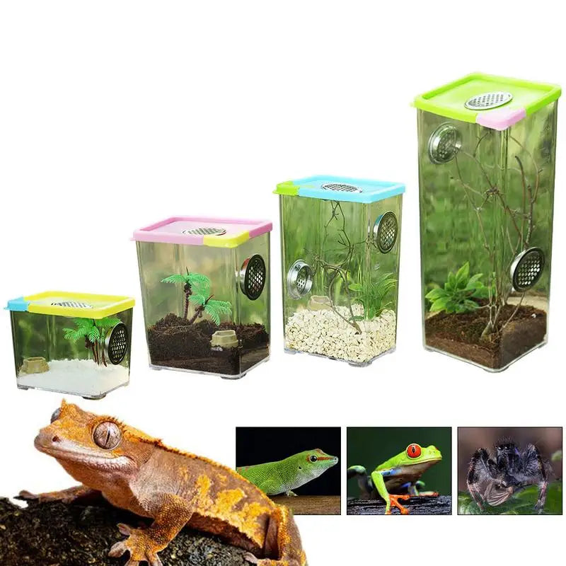 Acrylic Terrarium with Stainless Steel Ventilation