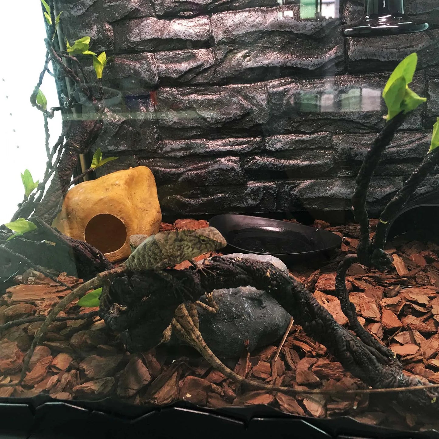Flexible Bendable Jungle Fake Vine Pet