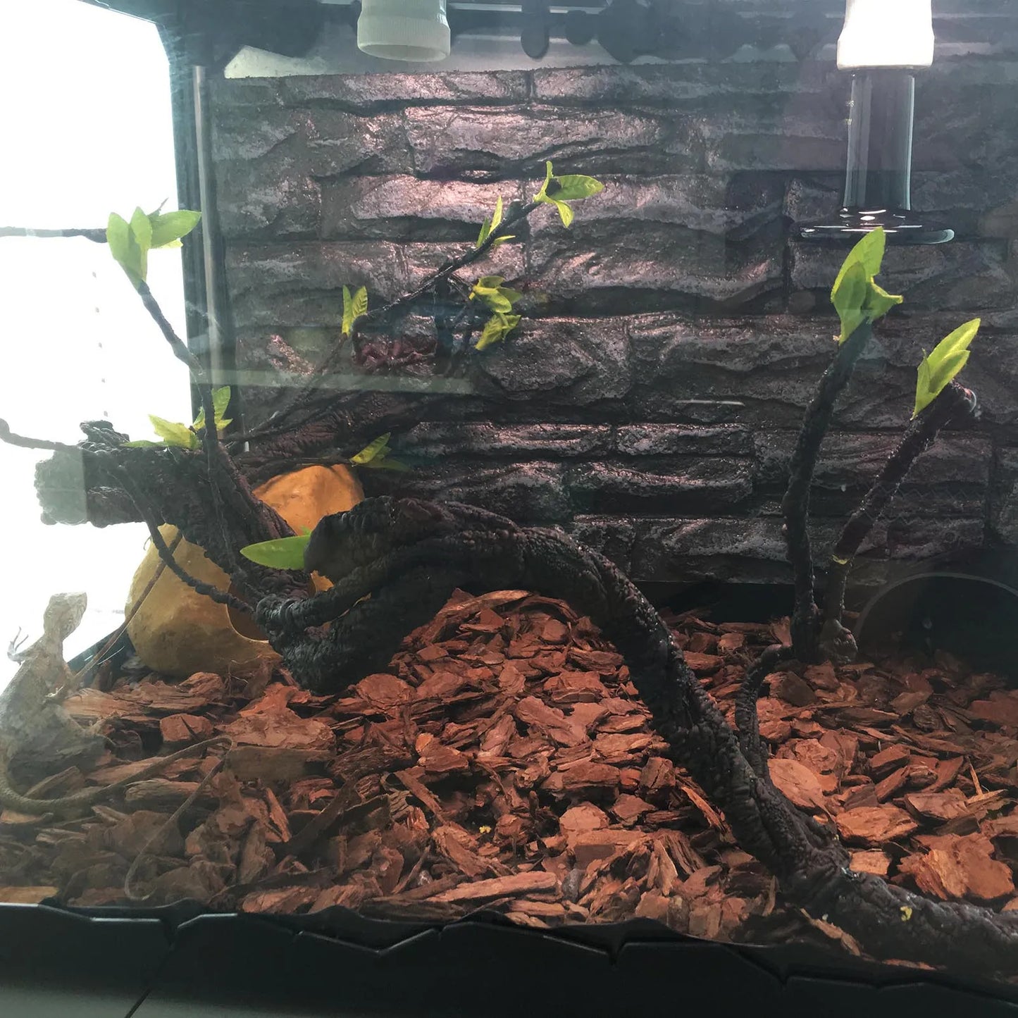 Flexible Bendable Jungle Fake Vine Pet