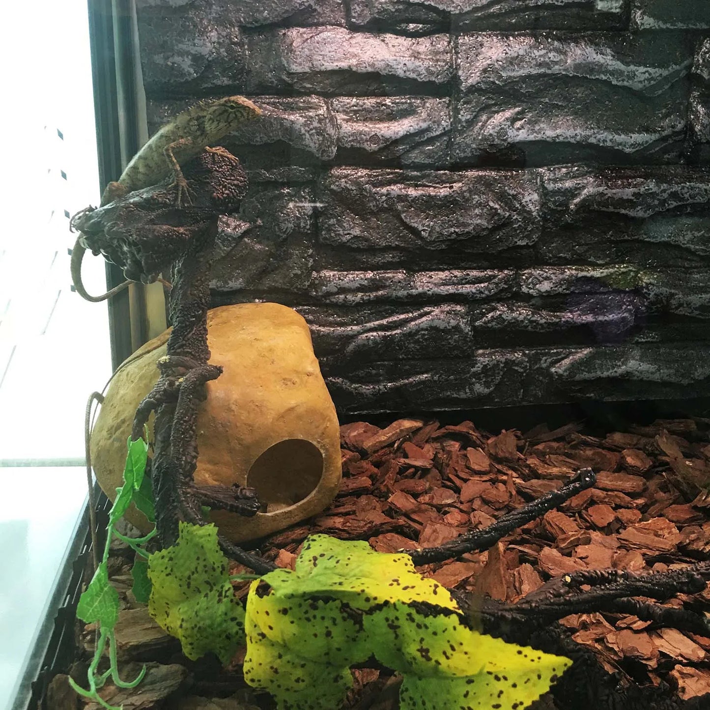 Flexible Bendable Jungle Fake Vine Pet