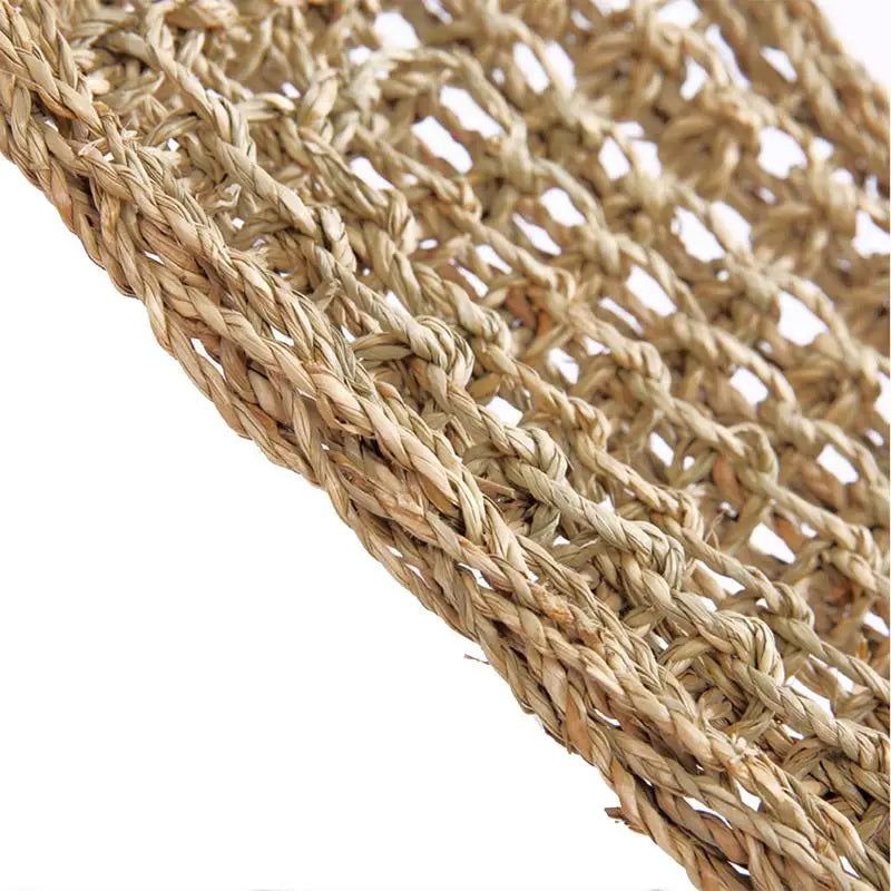 Lizard Hammock Swing for Reptiles and Small Pets
