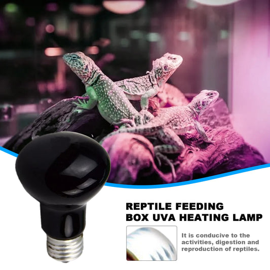 Adjustable UVA Reptile Heat Bulb and Lamp