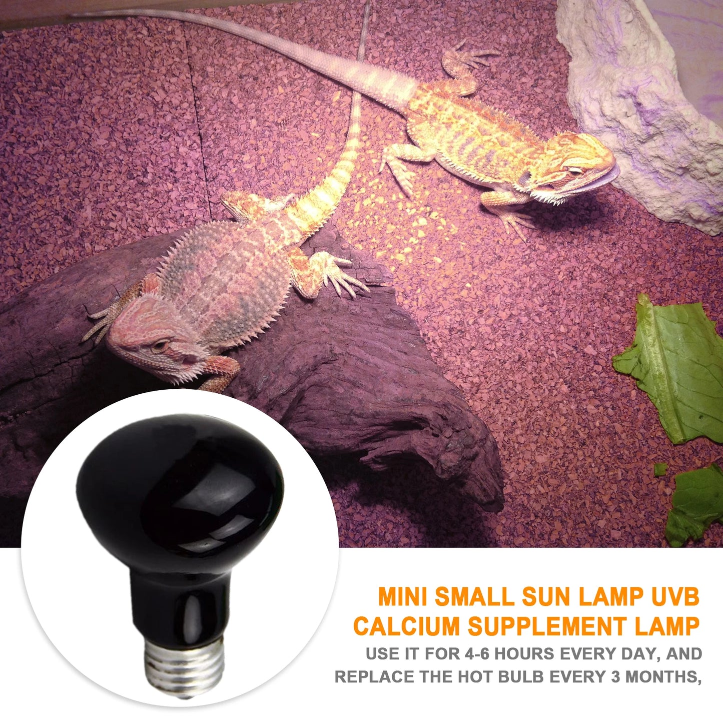 Adjustable UVA Reptile Heat Bulb and Lamp
